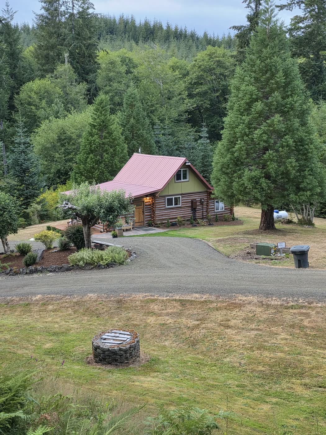 The cabin and grounds from the driveway